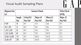 Visual Audit Sampling Plans
 