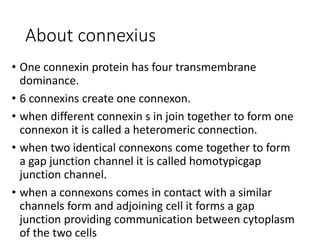 About connexius
• One connexin protein has four transmembrane
dominance.
• 6 connexins create one connexon.
• when different connexin s in join together to form one
connexon it is called a heteromeric connection.
• when two identical connexons come together to form
a gap junction channel it is called homotypicgap
junction channel.
• when a connexons comes in contact with a similar
channels form and adjoining cell it forms a gap
junction providing communication between cytoplasm
of the two cells
 