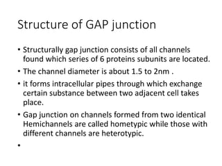 Structure of GAP junction
• Structurally gap junction consists of all channels
found which series of 6 proteins subunits are located.
• The channel diameter is about 1.5 to 2nm .
• it forms intracellular pipes through which exchange
certain substance between two adjacent cell takes
place.
• Gap junction on channels formed from two identical
Hemichannels are called hometypic while those with
different channels are heterotypic.
•
 