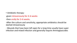 • Antibiotic therapy:
-given intravenously for 4–6 weeks
-then orally for 3–6 weeks.
-After the culture and sensitivity, appropriate antibiotics should be
started intravenously
- Wounds that have been left open for a long time usually have super
infection and mixed infection and generally require Aminoglyocsides
 