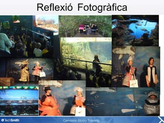 Reflexió Fotogràfica 