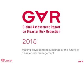 Making development sustainable: the future of
disaster risk management
 