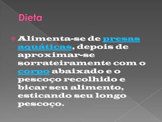  Alimenta-se de presas
aquáticas, depois de
aproximar-se
sorrateiramente com o
corpo abaixado e o
pescoço recolhido e
bicar seu alimento,
esticando seu longo
pescoço.
 
