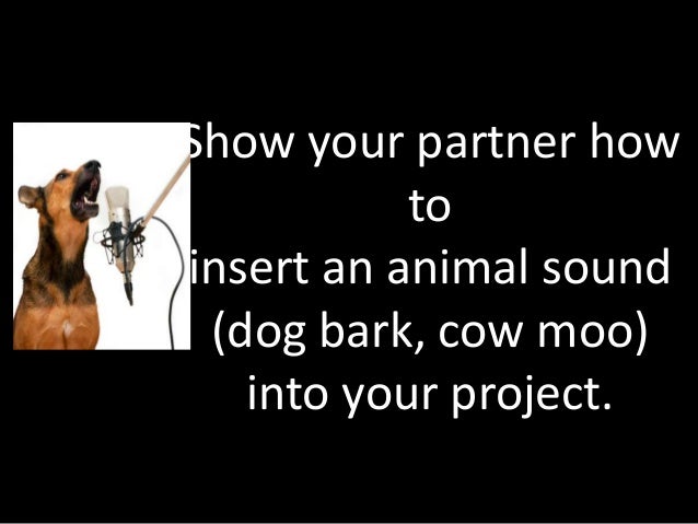 Single Dog Bark Sound Effect Single Dog Bark Sound Effect