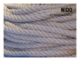 nido
by Sabrina Tetrao




               29
 