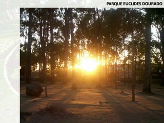 PARQUE EUCLIDES DOURADO
 