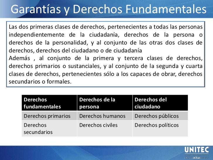 Garant as Y Derechos Fundamentales