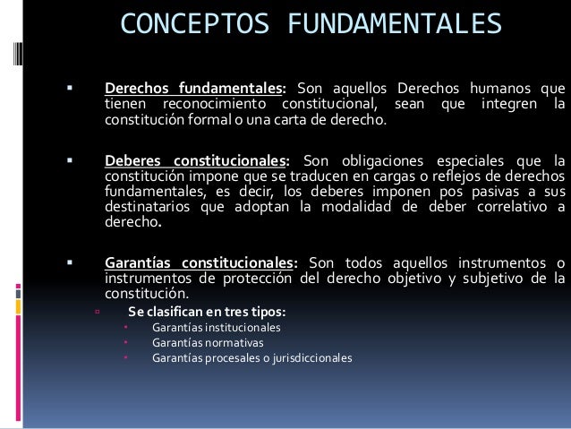 Garantias constitucionales