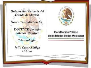 Universidad Privada del
Estado de México.
Garantías Individuales .

DOCENTE; Jennifer
Salazar Ramírez
Criminología .
Julio Cesar Zúñiga
Urbina.

 