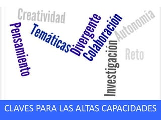 CARACTERÍSTICAS DE LAS WQCLAVES PARA LAS ALTAS CAPACIDADES
 
