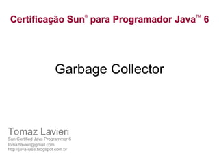 ®       TM
 Certificação Sun para Programador Java 6




                       Garbage Collector



Tomaz Lavieri
Sun Certified Java Programmer 6
tomazlavieri@gmail.com
http://java-i9se.blogspot.com.br
 