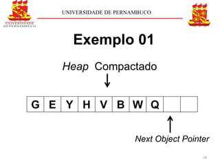 UNIVERSIDADE DE PERNAMBUCO




      Exemplo 01
   Heap Compactado


G E Y H V B W Q


                        Next Object Pointer
                                         28
 