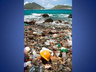 Photo by Fabi Fliervoet http://www.flickr.com/photos/33102513@N07/3687855352/