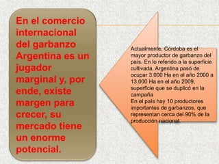 Actualmente, Córdoba es el
mayor productor de garbanzo del
país. En lo referido a la superficie
cultivada, Argentina pasó de
ocupar 3.000 Ha en el año 2000 a
13.000 Ha en el año 2009,
superficie que se duplicó en la
campaña
En el país hay 10 productores
importantes de garbanzos, que
representan cerca del 90% de la
producción nacional.
 