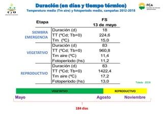 Duración (en días y tiempo térmico)
Temperatura media (Tm aire) y fotoperíodo medio, campañas 2012-2018
VEGETATIVO REPRODUCTIVO
Mayo Agosto Noviembre
Toledo. 2018
184 dias
FS
13 de mayo
Duración (d) 18
TT (ºCd; Tb=0) 224,6
Tm (ºC) 15,0
Duración (d) 83
TT (ºCd; Tb=0) 960,8
Tm aire (ºC) 11,4
Fotoperíodo (hs) 11,2
Duración (d) 83
TT (ºCd; Tb=0) 1422,4
Tm aire (ºC) 17,2
Fotoperíodo (hs) 13,0
Etapa
S-VE
VE-R1
R1-R8
C y O
Compartiendo conocimientos
SIEMBRA
EMERGENCIA
VEGETATIVO
REPRODUCTIVO
 