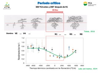 Siembra VE … V4 … R1 … … R5 … R8
Toledo, 2018
40 Días
Periodo critico
300 ºCd antes y 200° después de R1
Rendimiento(tonha-1
)
Tiempo térmico centrado en la floración (ºCd)
1,2
1,0
0,8
0,6
0,4
0,2
0
-800 -600 -400 -200 0 200 400 600 800
C y O
Compartiendo conocimientos
Lake and Sadras, 2014
 