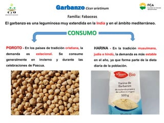 Garbanzo Cicer arietinum
Familia: Fabaceas
El garbanzo es una leguminosa muy extendida en la India y en el ámbito mediterráneo.
HARINA - En la tradición musulmana,
judía e hindú, la demanda es más estable
en el año, ya que forma parte de la dieta
diaria de la población.
POROTO - En los países de tradición cristiana, la
demanda es estacional. Se consume
generalmente en invierno y durante las
celebraciones de Pascua.
CONSUMO
C y O
Compartiendo conocimientos
 
