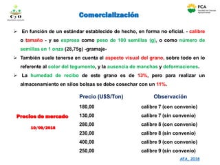Precio (U$S/Ton) Observación
180,00 calibre 7 (con convenio)
130,00 calibre 7 (sin convenio)
280,00 calibre 8 (con convenio)
230,00 calibre 8 (sin convenio)
400,00 calibre 9 (con convenio)
250,00 calibre 9 (sin convenio)
Precios de mercado
10/09/2018
 En función de un estándar establecido de hecho, en forma no oficial. - calibre
o tamaño - y se expresa como peso de 100 semillas (g), o como número de
semillas en 1 onza (28,75g) -gramaje-
 También suele tenerse en cuenta el aspecto visual del grano, sobre todo en lo
referente al color del tegumento, y la ausencia de manchas y deformaciones.
 La humedad de recibo de este grano es de 13%, pero para realizar un
almacenamiento en silos bolsas se debe cosechar con un 11%.
ComercializaciónC y O
Compartiendo conocimientos
AFA, 2018
 