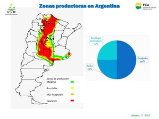 Zonas de producción
Marginal
Aceptable
Muy Aceptable
Excelente
Zonas productoras en Argentina
Saluzzo, J. 2010
C y O
Compartiendo conocimientos
 