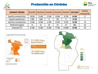 Producción en Córdoba
C y O
Compartiendo conocimientos
 