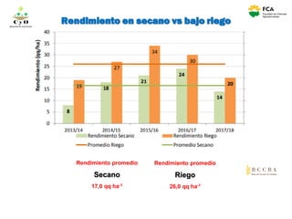 Rendimiento promedio
Secano
17,0 qq ha-1
Rendimiento promedio
Riego
26,0 qq ha-1
Rendimiento en secano vs bajo riegoC y O
Compartiendo conocimientos
 