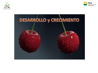 C y O
Compartiendo conocimientos
 