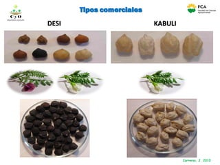 DESI
Tipos comerciales
Carreras, J. 2010
KABULI
C y O
Compartiendo conocimientos
 