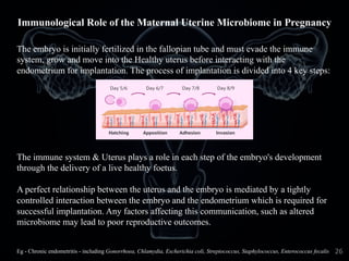 The embryo is initially fertilized in the fallopian tube and must evade the immune
system, grow and move into the Healthy uterus before interacting with the
endometrium for implantation. The process of implantation is divided into 4 key steps:
The immune system & Uterus plays a role in each step of the embryo's development
through the delivery of a live healthy foetus.
A perfect relationship between the uterus and the embryo is mediated by a tightly
controlled interaction between the embryo and the endometrium which is required for
successful implantation. Any factors affecting this communication, such as altered
microbiome may lead to poor reproductive outcomes.
Eg - Chronic endometritis - including Gonorrhoea, Chlamydia, Escherichia coli, Streptococcus, Staphylococcus, Enterococcus fecalis
Immunological Role of the Maternal Uterine Microbiome in Pregnancy
26
 
