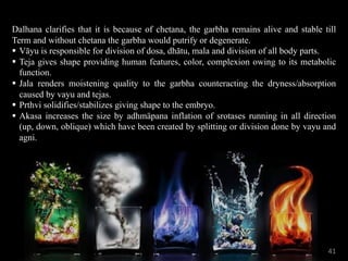 Dalhana clarifies that it is because of chetana, the garbha remains alive and stable till
Term and without chetana the garbha would putrify or degenerate.
§ Vāyu is responsible for division of dosa, dhātu, mala and division of all body parts.
§ Teja gives shape providing human features, color, complexion owing to its metabolic
function.
§ Jala renders moistening quality to the garbha counteracting the dryness/absorption
caused by vayu and tejas.
§ Prthvi solidifies/stabilizes giving shape to the embryo.
§ Akasa increases the size by adhmäpana inflation of srotases running in all direction
(up, down, oblique) which have been created by splitting or division done by vayu and
agni.
41
 