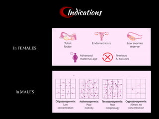 Indications
In FEMALES
In MALES
64
 