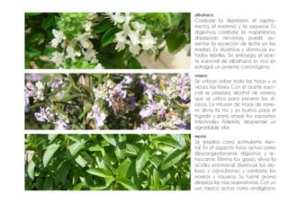 51
romero
Se utilizan sobre todo las hojas y a
veces, las flores. Con el aceite esen-
cial se prepara alcohol de romero,
que se utiliza para prevenir las úl-
ceras. La infusión de hojas de rome-
ro alivia la tos y es buena para el
hígado y para atajar los espasmos
intestinales. Además, desprende un
agradable olor.
albahaca
Combate la depresión, el agota-
miento, el insomnio y la jaqueca. Es
digestiva, combate la inapetencia,
dispepsias nerviosas, puede au-
mentar la secreción de leche en las
madres. Es diurética y disminuye es-
tados febriles. Sin embargo, el acei-
te esencial de albahaca es rico en
estragol, un potente carcinógeno.
menta
Se emplea como estimulante men-
tal. En el aspecto físico actúa como
descongestionante, digestivo y re-
frescante. Elimina los gases, alivia la
acidez estomacal, disminuye los do-
lores y convulsiones y combate los
mareos y náuseas. Su fuerte aroma
despeja las vías respiratorias. Con un
uso tópico actúa como analgésico.
 