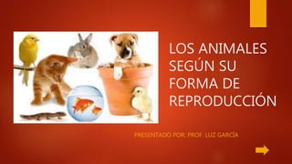 LOS ANIMALES
SEGÚN SU
FORMA DE
REPRODUCCIÓN
PRESENTADO POR: PROF. LUZ GARCÍA
 