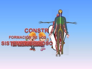 García velasco pablo.trabajo final