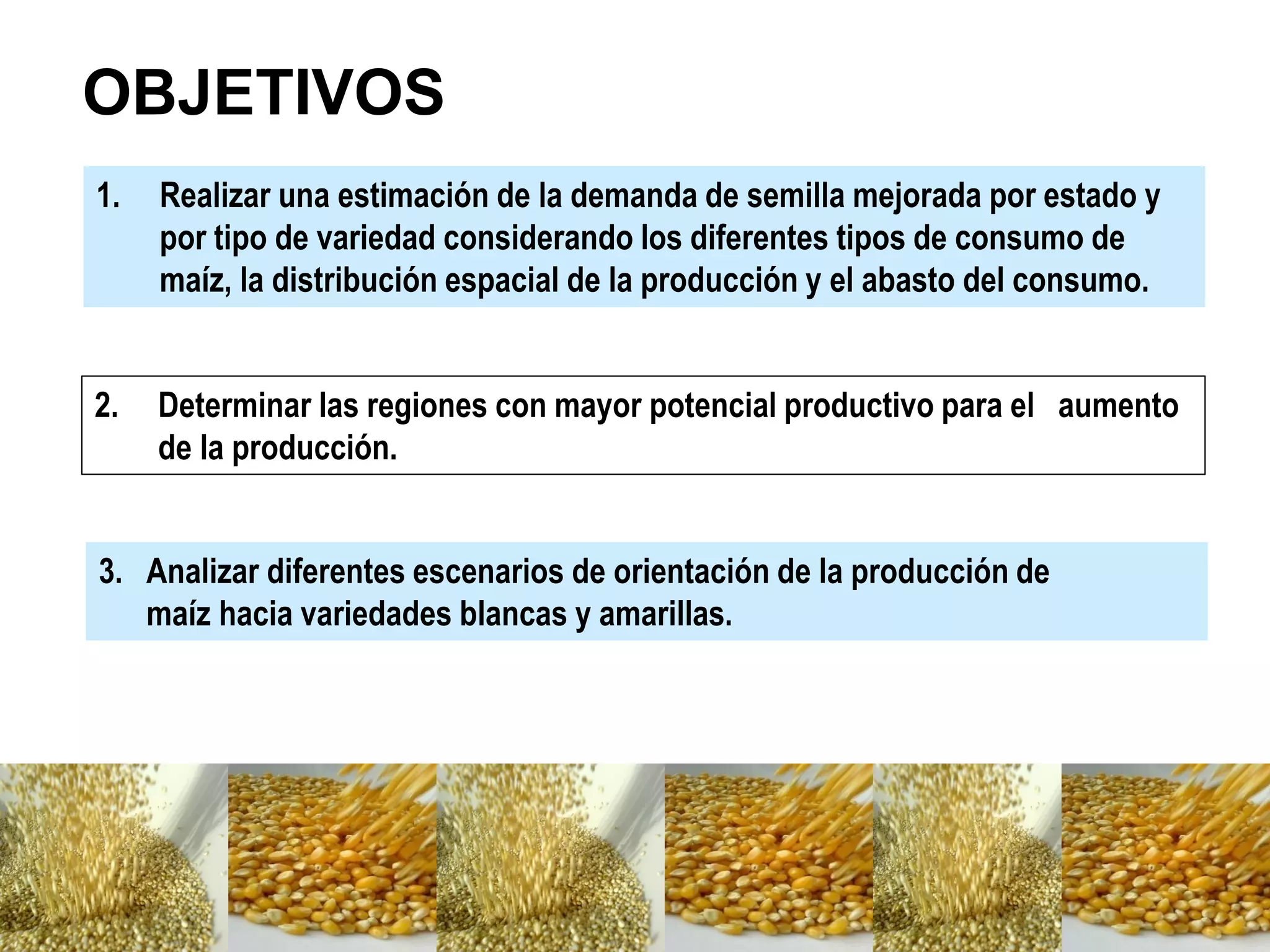 1. Realizar una estimación de la demanda de semilla mejorada por estado y
por tipo de variedad considerando los diferentes tipos de consumo de
maíz, la distribución espacial de la producción y el abasto del consumo.
OBJETIVOS
2. Determinar las regiones con mayor potencial productivo para el aumento
de la producción.
3. Analizar diferentes escenarios de orientación de la producción de
maíz hacia variedades blancas y amarillas.
 