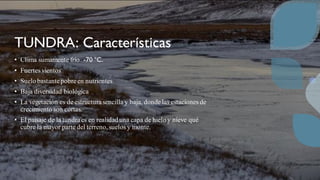 TUNDRA: Características
• Clima sumamente frío -70 °C.
• Fuertes vientos
• Suelo bastantepobreen nutrientes
• Baja diversidad biológica
• La vegetación es de estructurasencilla y baja, dondelas estaciones de
crecimiento son cortas.
• El paisaje de la tundraes en realidad una capa de hielo y nieve qué
cubre la mayor parte del terreno, suelos y monte.
 