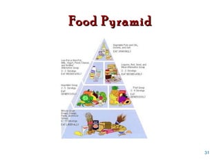 Food Pyramid 