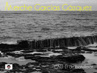 erche Garcias Gázquez 
CURS 2014-2015 
CAU. 1r de batxillerat. 
 