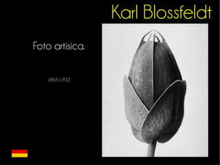 Karl Blossfeldt 
Foto artísica. 
1865-1932 
 