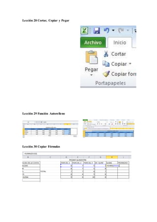 Lección 28 Cortar, Copiar y Pegar
Lección 29 Función Autorelleno
Lección 30 Copiar Fórmulas
 