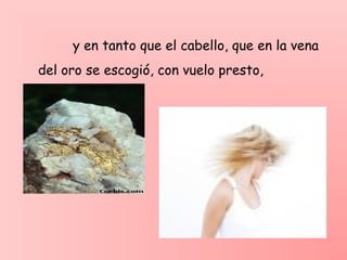 y en tanto que el cabello, que en la vena
del oro se escogió, con vuelo presto,
 