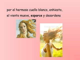 por el hermoso cuello blanco, enhiesto,
el viento mueve, esparce y desordena
 