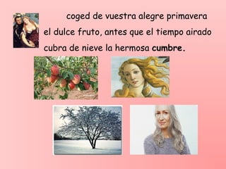 coged de vuestra alegre primavera
el dulce fruto, antes que el tiempo airado
cubra de nieve la hermosa cumbre.
 