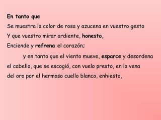 En tanto que
Se muestra la color de rosa y azucena en vuestro gesto
Y que vuestro mirar ardiente, honesto,
Enciende y refrena el corazón;
y en tanto que el viento mueve, esparce y desordena
el cabello, que se escogió, con vuelo presto, en la vena
del oro por el hermoso cuello blanco, enhiesto,
 