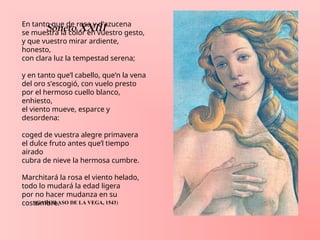 En tanto que de rosa y d’azucena
se muestra la color en vuestro gesto,
y que vuestro mirar ardiente,
honesto,
con clara luz la tempestad serena;
y en tanto que’l cabello, que’n la vena
del oro s’escogió, con vuelo presto
por el hermoso cuello blanco,
enhiesto,
el viento mueve, esparce y
desordena:
coged de vuestra alegre primavera
el dulce fruto antes que’l tiempo
airado
cubra de nieve la hermosa cumbre.
Marchitará la rosa el viento helado,
todo lo mudará la edad ligera
por no hacer mudanza en su
costumbre.
(GARCILASO DE LA VEGA, 1543)
Soneto XXIII
 