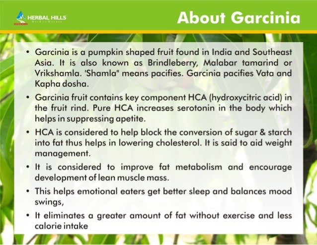 how to lose weight using garcinia cambogia
