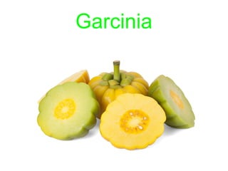 Garcinia
 