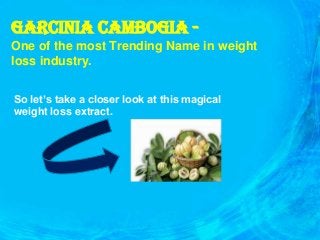 GARCINIA CAMBOGIA One of the most Trending Name in weight
loss industry.
So let’s take a closer look at this magical
weight loss extract.

 