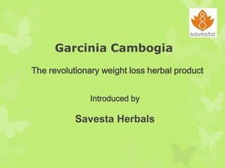 Garcinia Cambogia
The revolutionary weight loss herbal product
Introduced by

Savesta Herbals

 