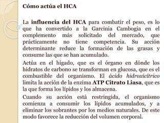 Cómo actúa el HCA
La influencia del HCA para combatir el peso, es lo
que ha convertido a la Garcinia Cambogia en el
complemento más solicitado del mercado, que
prácticamente no tiene competencia. Su acción
determinante reduce la formación de las grasas y
consume las que se han acumulado.
Actúa en el hígado, que es el órgano en dónde los
hidratos de carbono se transforman en glucosa, que es el
combustible del organismo. El ácido hidroxicítrico
limita la acción de la enzima ATP Citrato Liasa, que es
la que forma los lípidos y los almacena.
Cuando su acción está restringida, el organismo
comienza a consumir los lípidos acumulados, y a
eliminar los sobrantes por los medios naturales. De este
modo favorece la reducción del volumen corporal.
 