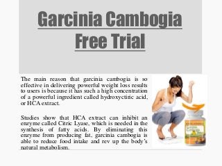 Garcinia Cambogia
Free Trial
The main reason that garcinia cambogia is so
effective in delivering powerful weight loss results
to users is because it has such a high concentration
of a powerful ingredient called hydroxyctiric acid,
or HCA extract.
Studies show that HCA extract can inhibit an
enzyme called Citric Lyase, which is needed in the
synthesis of fatty acids. By eliminating this
enzyme from producing fat, garcinia cambogia is
able to reduce food intake and rev up the body’s
natural metabolism.
 